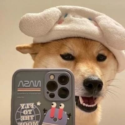 我是牛逼的狗子(图6)