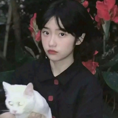 不明显情头(图9) 不明显情头(图9)