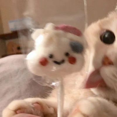 遇见你很难，但是我会一直陪你的(图4)