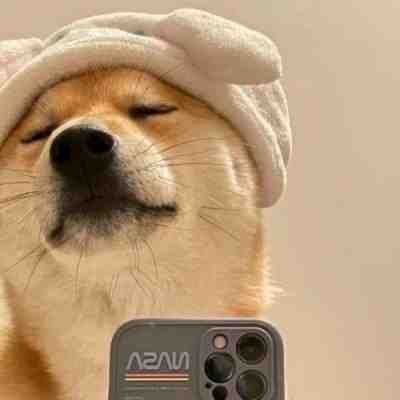 我是牛逼的狗子(图8)