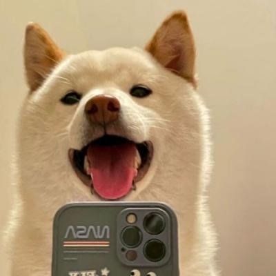 我是牛逼的狗子(图5)