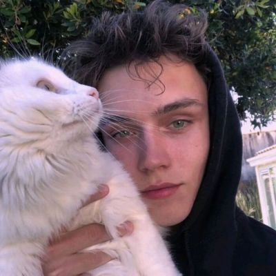 小丑的泪点 再真挚也会被当成笑柄(图5)