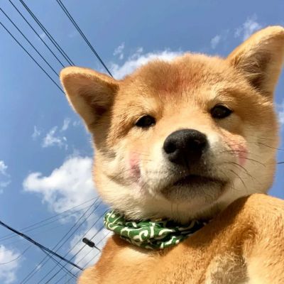 心中有你，无论是什么样的黑暗都有束光照耀着我前行(图20)