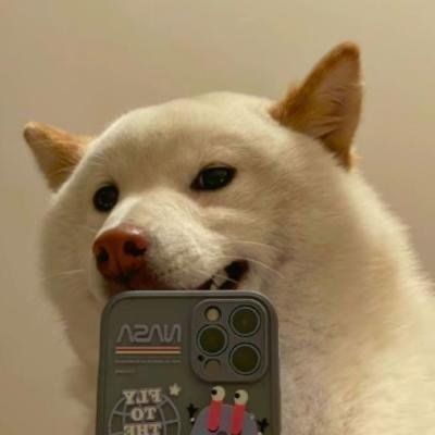 我是牛逼的狗子(图7)