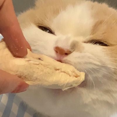 什么是快乐星球~(图4)