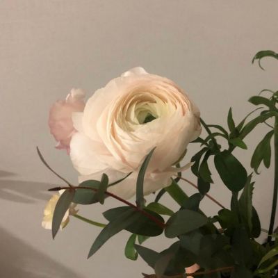 意境/hua/会期待下次见面吗(图3)