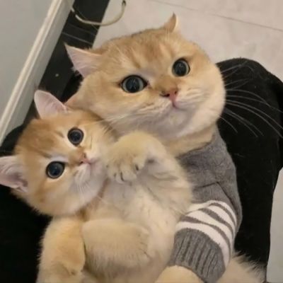 什么是快乐星球~(图2)