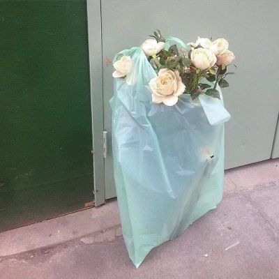 都过去了，花也隐了，梦也醒了，前路如何? 便摘也何曾戴?(图5)