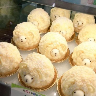 你是什么小熊(图2)