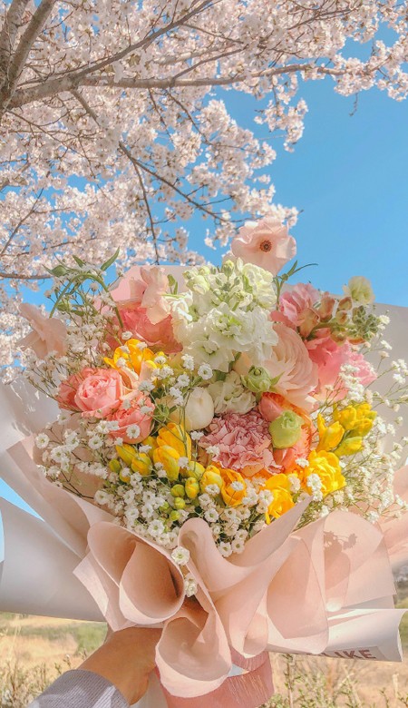 很高级的全面屏女生最爱的壁纸 高清气质满满的壁纸大全2021(图3) 很高级的全面屏女生最爱的壁纸 高清气质满满的壁纸大全2021(图3)