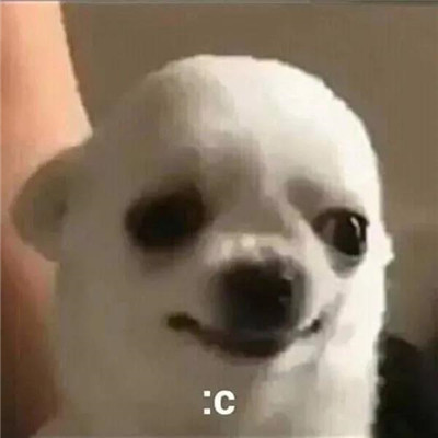 超级的幽默又超级的有趣表情大全 打字好累不聊了(图8)