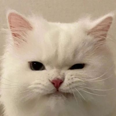 我想你了，只是没有告诉你罢了(图4)