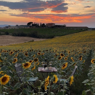 你独独不该在我心上又退我万丈(图7)