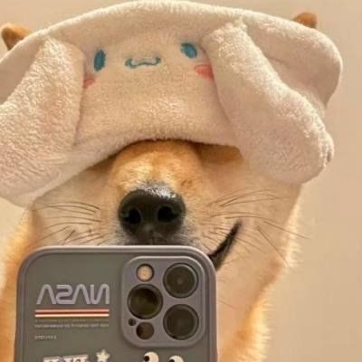 我是牛逼的狗子(图3)