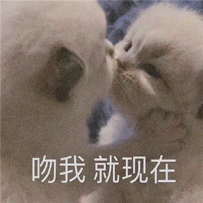 个性的超级有趣的微信聊天表情 只想做条闲鱼表情(图6)