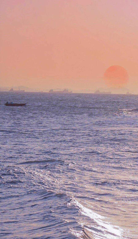 2021紫色系适合女孩子的唯美好看的手机壁纸 高清质感的女生手机皮肤(图2)