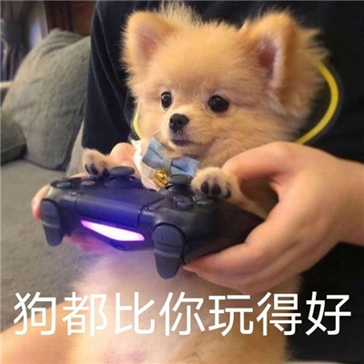 实用的微信超可爱的表情精选 超萌超热门的qq聊天表情(图6)