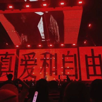 文字背景，y小柯基(图7)