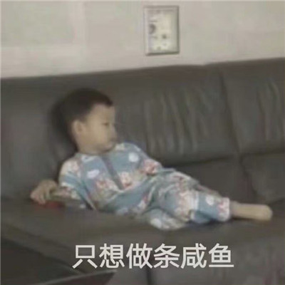 个性的超级有趣的微信聊天表情 只想做条闲鱼表情(图9)