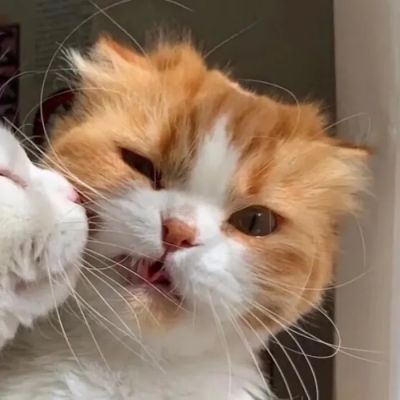 萌系头像（“其实偶尔会脑补你爱别人的样子.”）(图2)