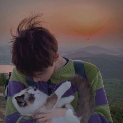 “理智叫我停止，行动叫我放弃，内心让我再等等.”(图13)