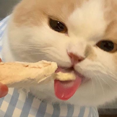 什么是快乐星球~(图3)