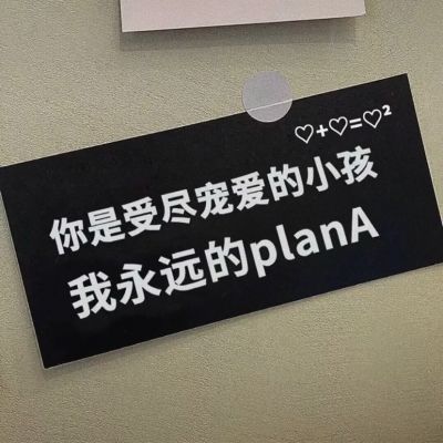 文字背景，y小柯基(图2)