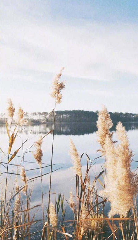 清冷超级唯美的好看风景手机壁纸 总会遇到好看的壁纸所以也会遇到好事的啦(图7) 清冷超级唯美的好看风景手机壁纸 总会遇到好看的壁纸所以也会遇到好事的啦(图7)