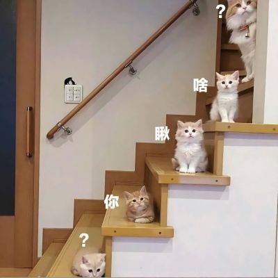 搞怪微信背景图♡热爱万象 爆炸开心(图6)