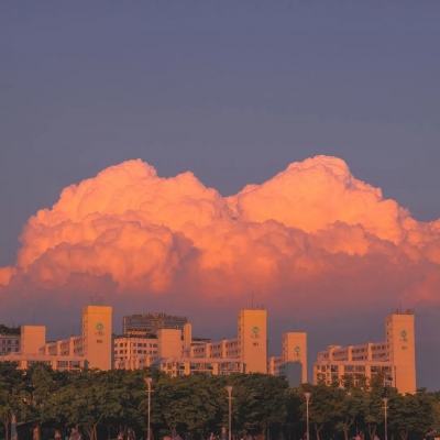 *扎头发两圈太松三圈太紧(图5)