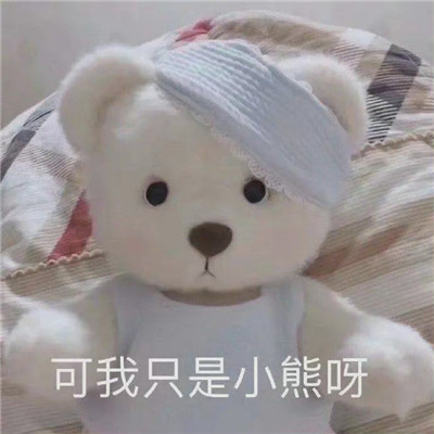 个性的超级有趣的微信聊天表情 只想做条闲鱼表情(图7)