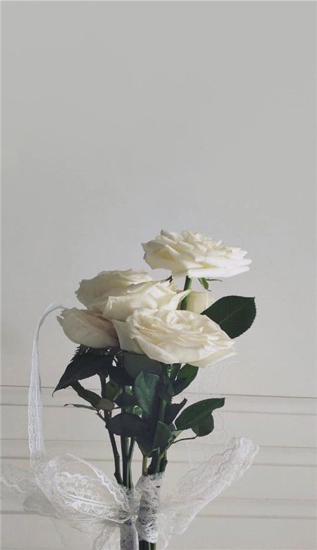 ins手机壁纸简约可爱全屏无水印高清 心中有了良人眼见皆是路人(图2) ins手机壁纸简约可爱全屏无水印高清 心中有了良人眼见皆是路人(图2)