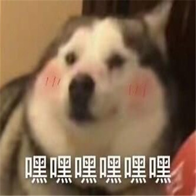 超级萌超级可爱的表情最新版 喝杯热水一切都会好的(图9)