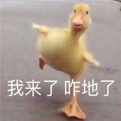 超级萌超级可爱的表情最新版 喝杯热水一切都会好的(图2)