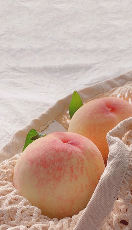 浅粉色壁纸可爱小清新日系好看 你没有如约而来这就是离别的意义(图4) 浅粉色壁纸可爱小清新日系好看 你没有如约而来这就是离别的意义(图4)