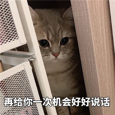 很有意思的有趣的微信表情最新大全 再给你一次好好说话的机会(图5)