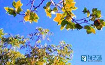 【实用】正能量早安句子48句