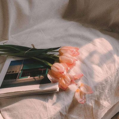 你给了我一束花，说要带我回家(图6)