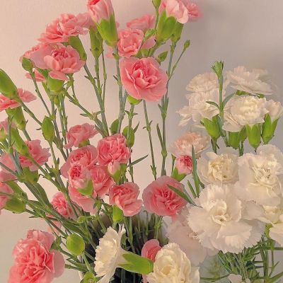 你给了我一束花，说要带我回家(图9)