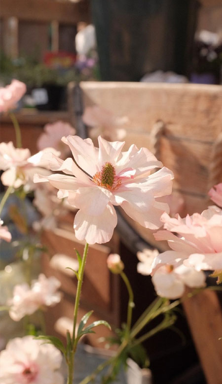 耐看且温柔的全屏高清无水印壁纸 超级好看的简约图片2021(图9) 耐看且温柔的全屏高清无水印壁纸 超级好看的简约图片2021(图9)