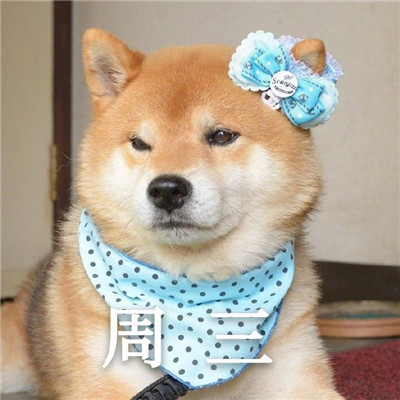 我的一周情绪变化搞笑表情 超级有趣的一周心情变化表情大全(图3)