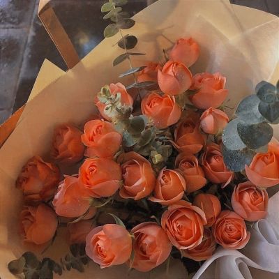 意境/hua/会期待下次见面吗(图6)