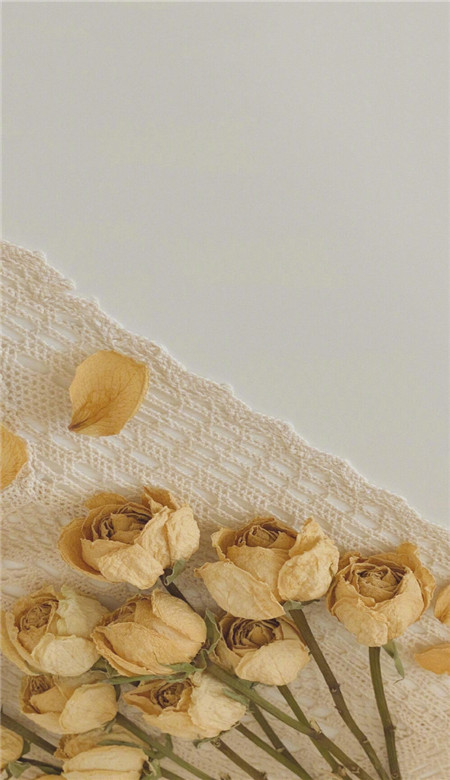 ins手机壁纸简约可爱全屏无水印高清 心中有了良人眼见皆是路人(图7) ins手机壁纸简约可爱全屏无水印高清 心中有了良人眼见皆是路人(图7)