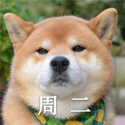 我的一周情绪变化搞笑表情 超级有趣的一周心情变化表情大全(图2)