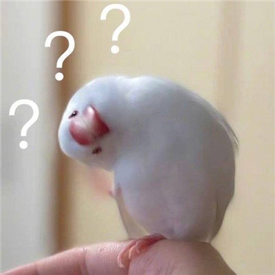 感受可爱暴击的可爱表聊天情包 超级软萌的有趣表情合集(图4)