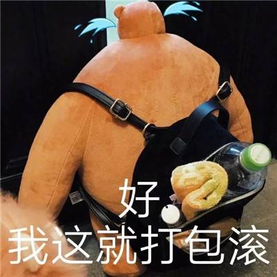 超级实用的微信热门表情合集 全网超级火的经典热门表情(图2)