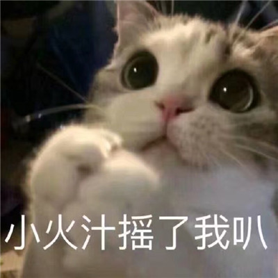 最新版很可爱的低头服软的表情 超级可爱的道歉表情2021(图5)