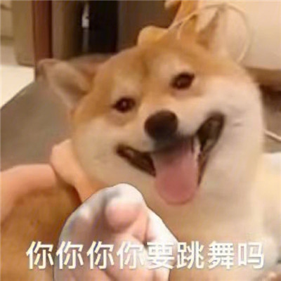 2021最新版狗狗指人表情大全 狗狗爆笑的聊天表情合集(图6)