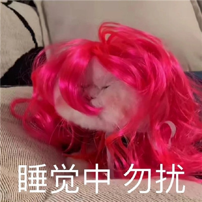 很受欢迎的经典微信聊天表情包 好用又很火的表情大全(图6)