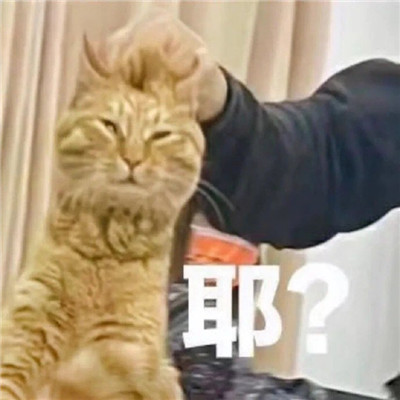 心情很好满脸写着开心的表情包 很开心很欢乐的聊天表情(图4)